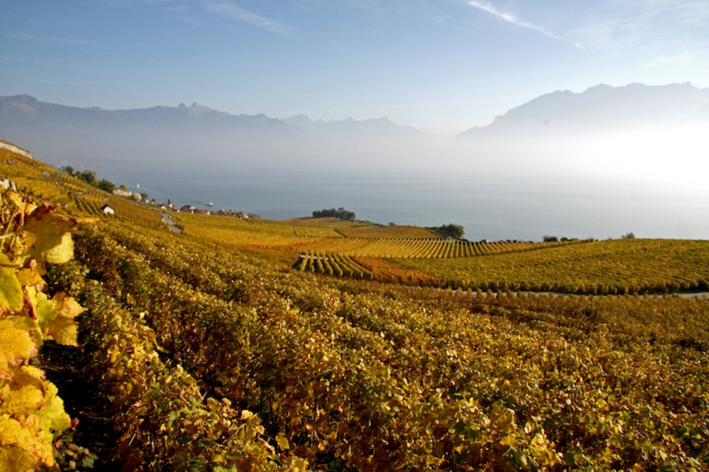 Die Genfersee-Weine stehen im Fokus des Festes. (Juliette Repond/landwirtschaft.ch)