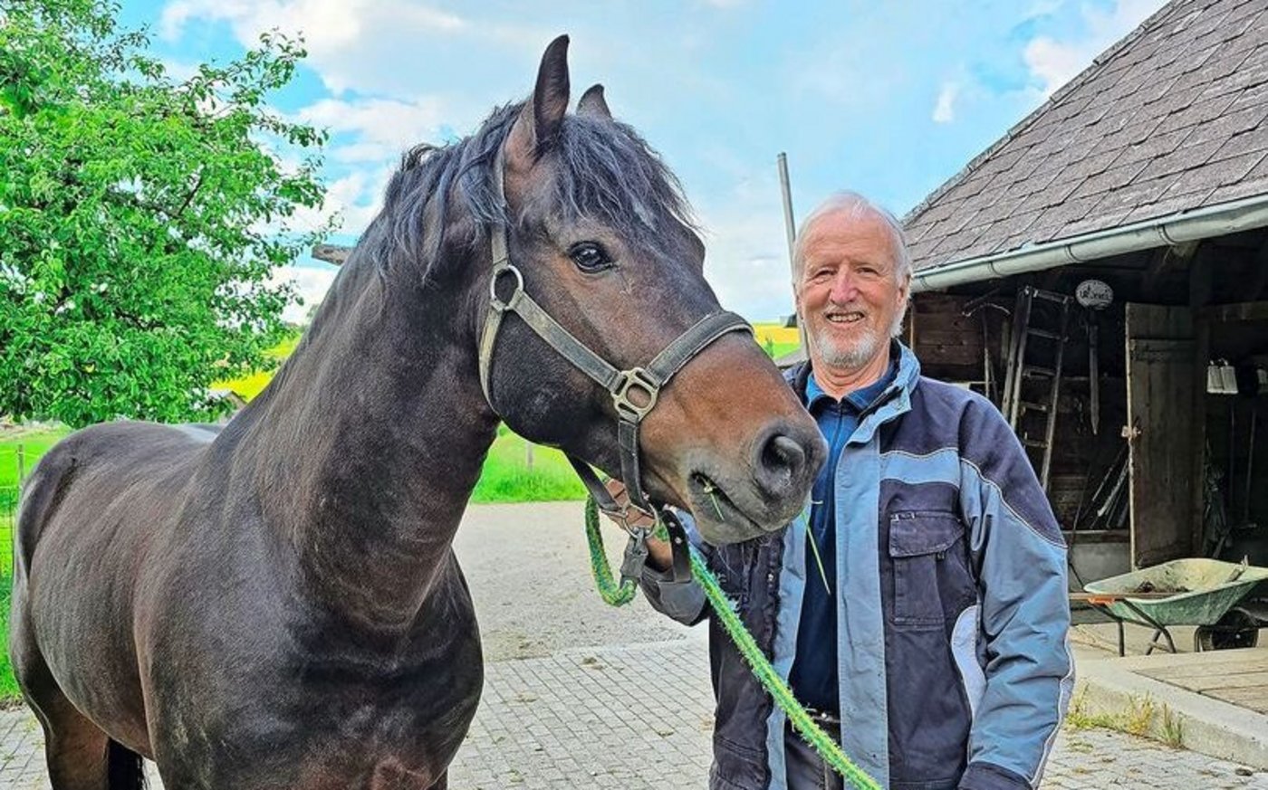 Der zehnjährige, erfahrene Zuchthengst Little Boy (Littoral/Canada/Haiti) und Ruedi Steiner bestreiten zusammen bereits die zweite Decksaison und sind zu einem guten Team zusammengewachsen.