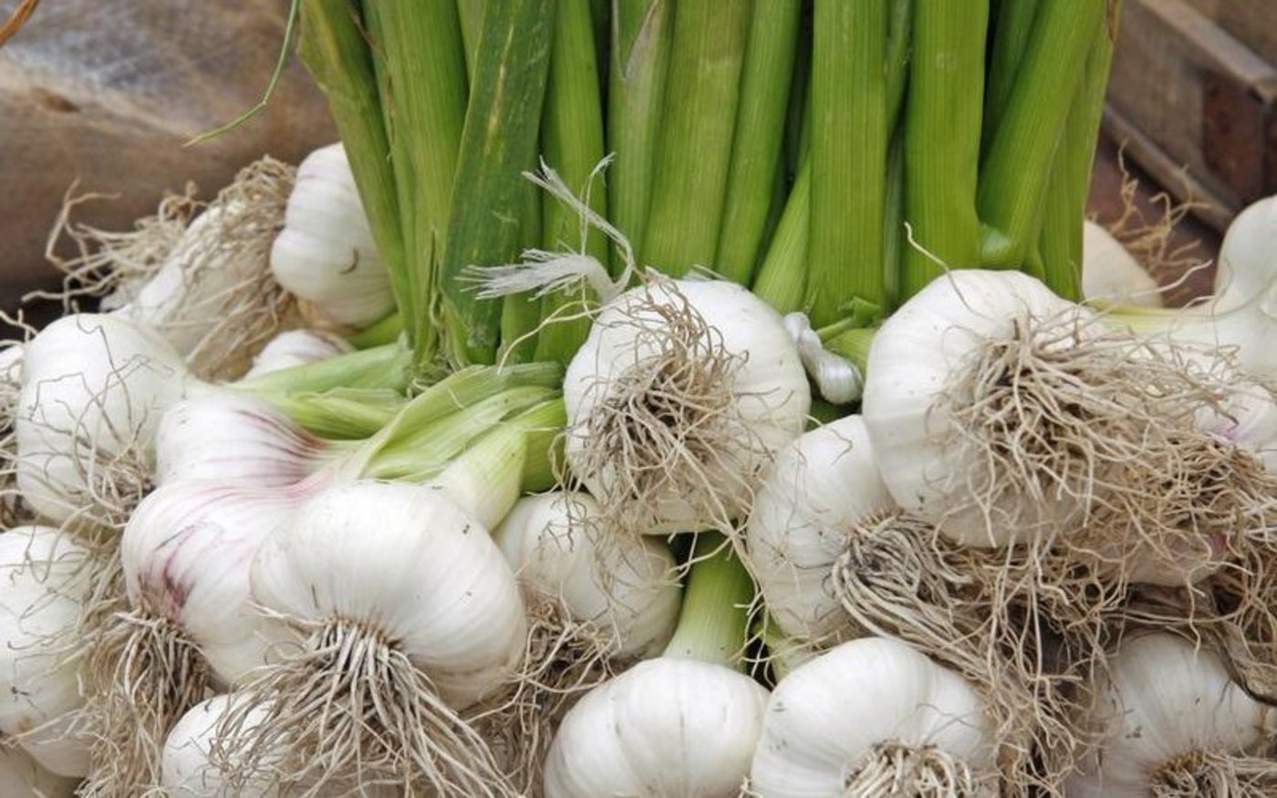 Knoblauch aus der Schweiz, hat es nicht leicht auf dem Markt. (Bild Klaus Eppele - Fotolia)