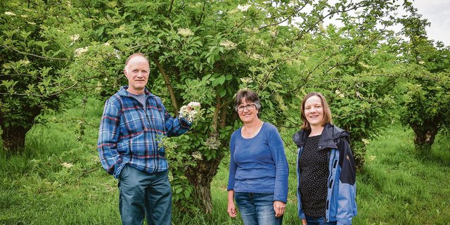 Sie haben sich auf ihrem Betrieb ein Standbein mit Holunder aufgebaut (v. l. n. r.): Peter, Katharina und Katya Grundbacher.(Bild Barbara Heiniger)