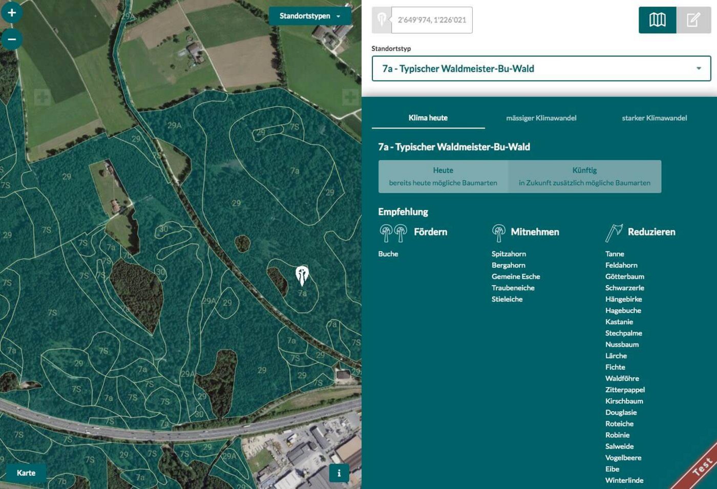 Die App zeigt, welche Bäume an einem Standort in Zukunft sinnvoll sind und daher gefördert werden sollten. (Bild tree-app.ch)