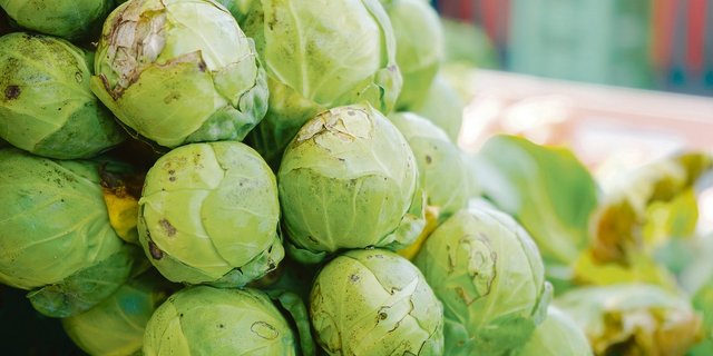 In der Schweiz darf Rosenkohl nicht mit dem Insektizid Benevia behandelt werden. In Holland und Belgien, woher in die Schweiz importiert wird, allerdings schon. (Symbolbild Pixabay)