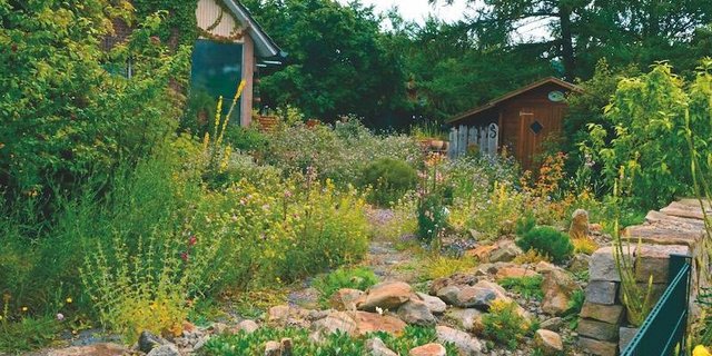 Voller Farben, Blumenduft, singenden Vögeln, summenden Bienen und zirpenden Grillen macht der Aufenthalt im eigenen Garten viel mehr Freude. Hier finden Vögel auch Nahrung und Nistmöglichkeiten, die sie in einem monotonen Garten nicht finden. (Bild zVg/ Reinhard Witt)