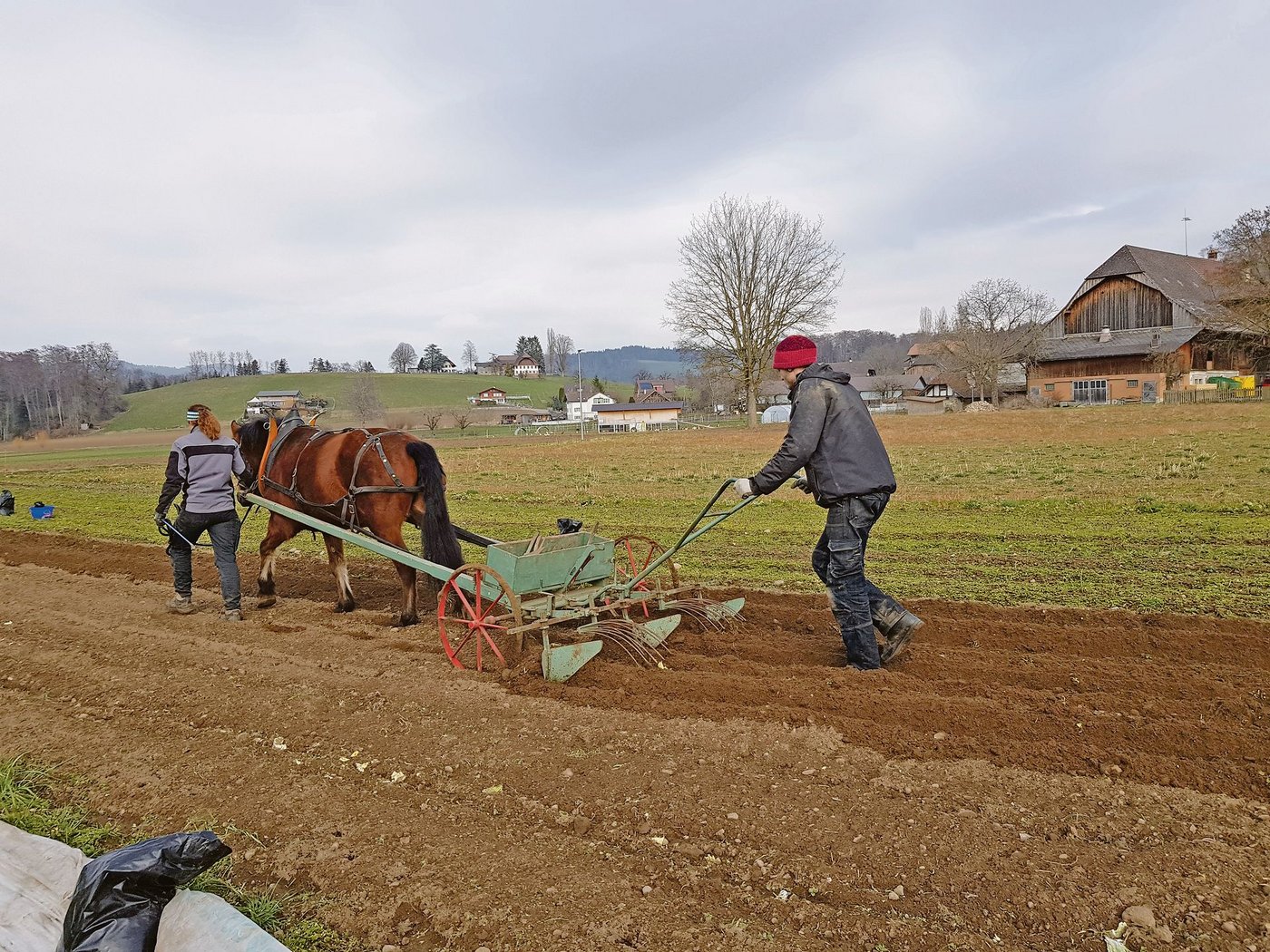 Bastian Hurni ist im zweiten Lehrjahr der Zweitausbildung zum Biolandwirt. Aktuell arbeitet er auf dem Biohof Trimstein. (Bild zVg)