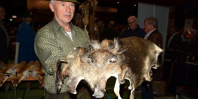 Am "Fäälimärt" in Sursee wurde unter anderem dieses Wildschweinfell angeboten. (Bilder Josef Scherer)