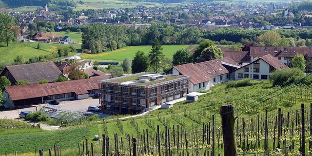 Das FiBL wird ausgebaut: Vorgesehen sind neue Büros und Labors, ein Gewächshaus, eine moderne Konferenzinfrastruktur sowie der Bau eines Multifunktions-Experimental-Stalls. (Bild Thomas Alföldi, FiBL)