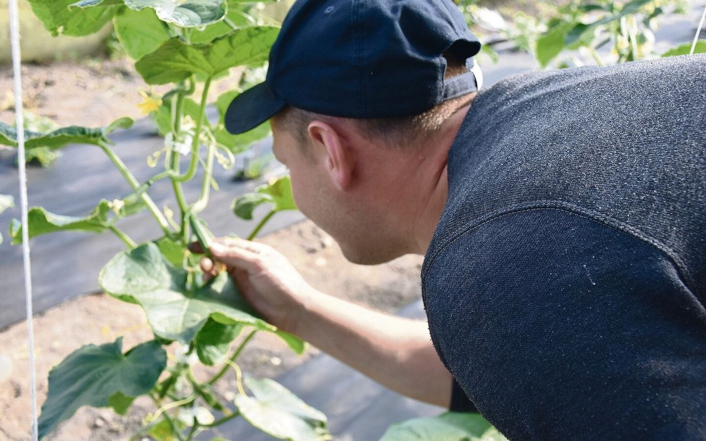 Wenn Lernende in den grünen Berufen abbrechen oder den Lehrbetrieb wechseln, liegt das oft an der fehlenden Chemie mit dem Lehrmeister.