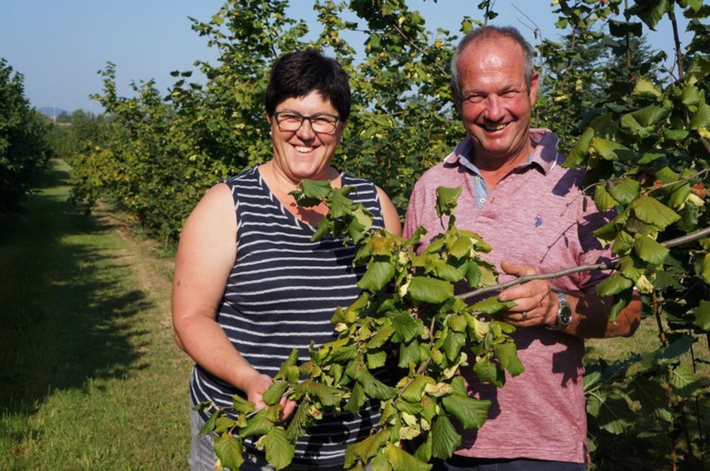 Haselnüsse Schweiz St. GallenUrsula und Albert Forster kultivieren seit 2007 Haselnüsse. (Bilder Martin Brunner)