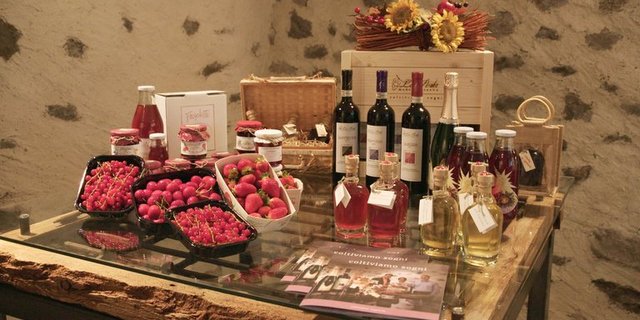 (Patricia Fry, Wissensmanagement Umwelt 2018)