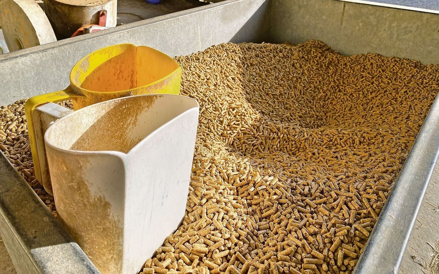 Wegen hohen Kosten durch teures Futter und eine grosse Arbeitsbelastung geht für Schneuwlys eine Tradition zu Ende.