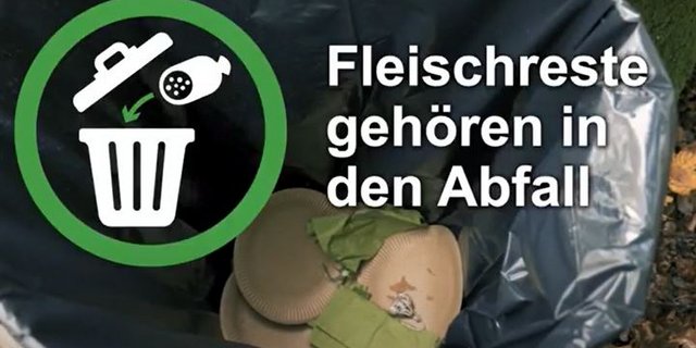 Ein neues BLV-Video zeigt das richtige Verhalten nach einem Wald-Picknick. (Screenshot blv.admin.ch)