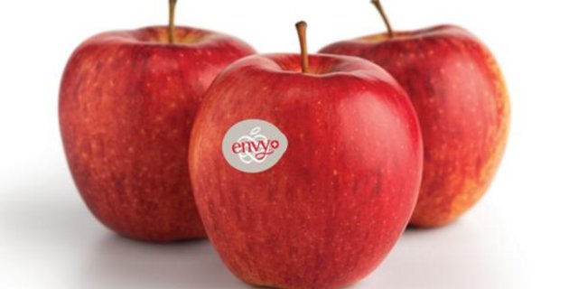 Mit seinem süssen Geschmack und der festen Konsistenz eigne sich Envy® zum Rohessen, zum Kochen wie zum Backen. (Bild Fenaco)