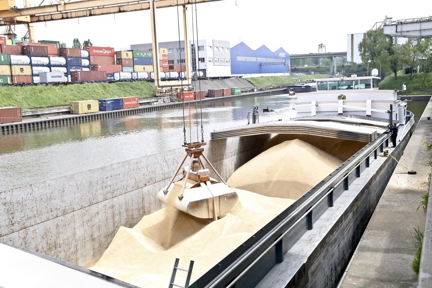 99 Prozent des in die Schweiz importierten Soja erfüllt die Kriterien des Soja-Netzwerks. (Bild mw)