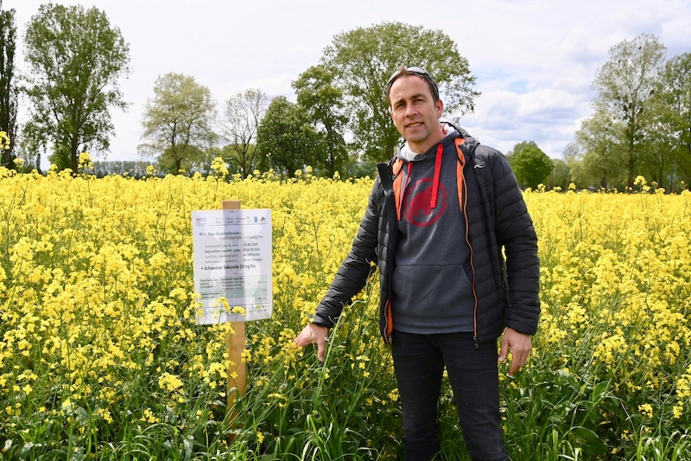 Reto Minder, Präsident Swiss No-Till, zeigt eine Rapskultur, die mit Begleitpflanzen gesät wurden. Die Begleitpflanzen sorgen dafür, dass der Boden immer bedeckt bleibt. (Bild Jasmine Baumann)
