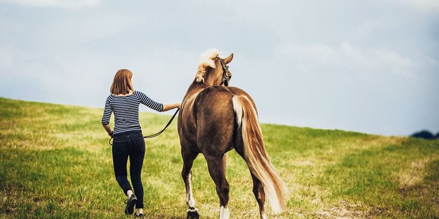 Der emotionale Wert, den ein(e) Halter(in) einem Tier aus rein emotionalen und nicht aus wirtschaftlichen Motiven beimisst, wird Affektionswert genannt. (Bild Helene Marti)