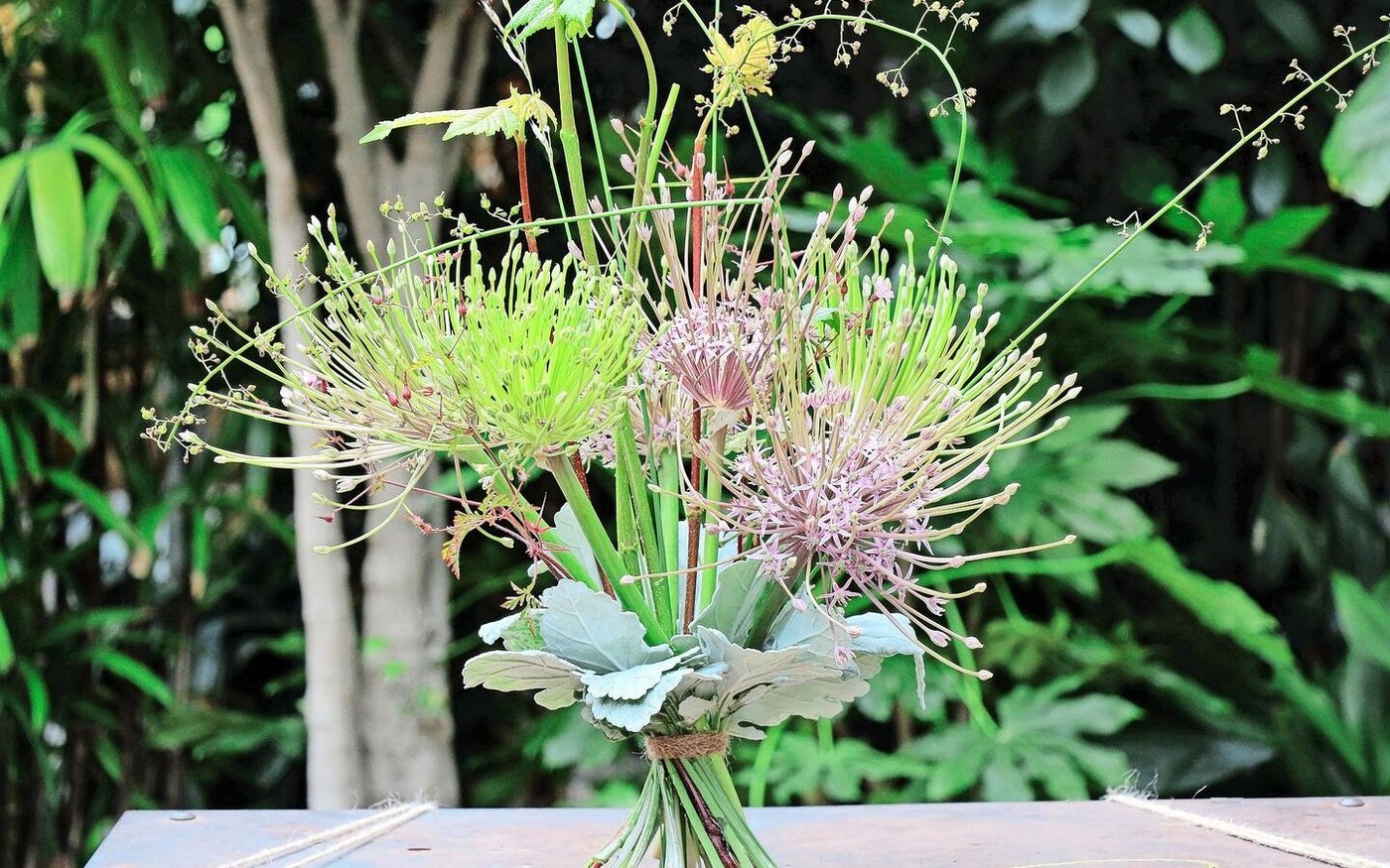Floristinnen und Floristen schätzen Allium besonders, um Gestecke und Sträusse zu fertigen. 