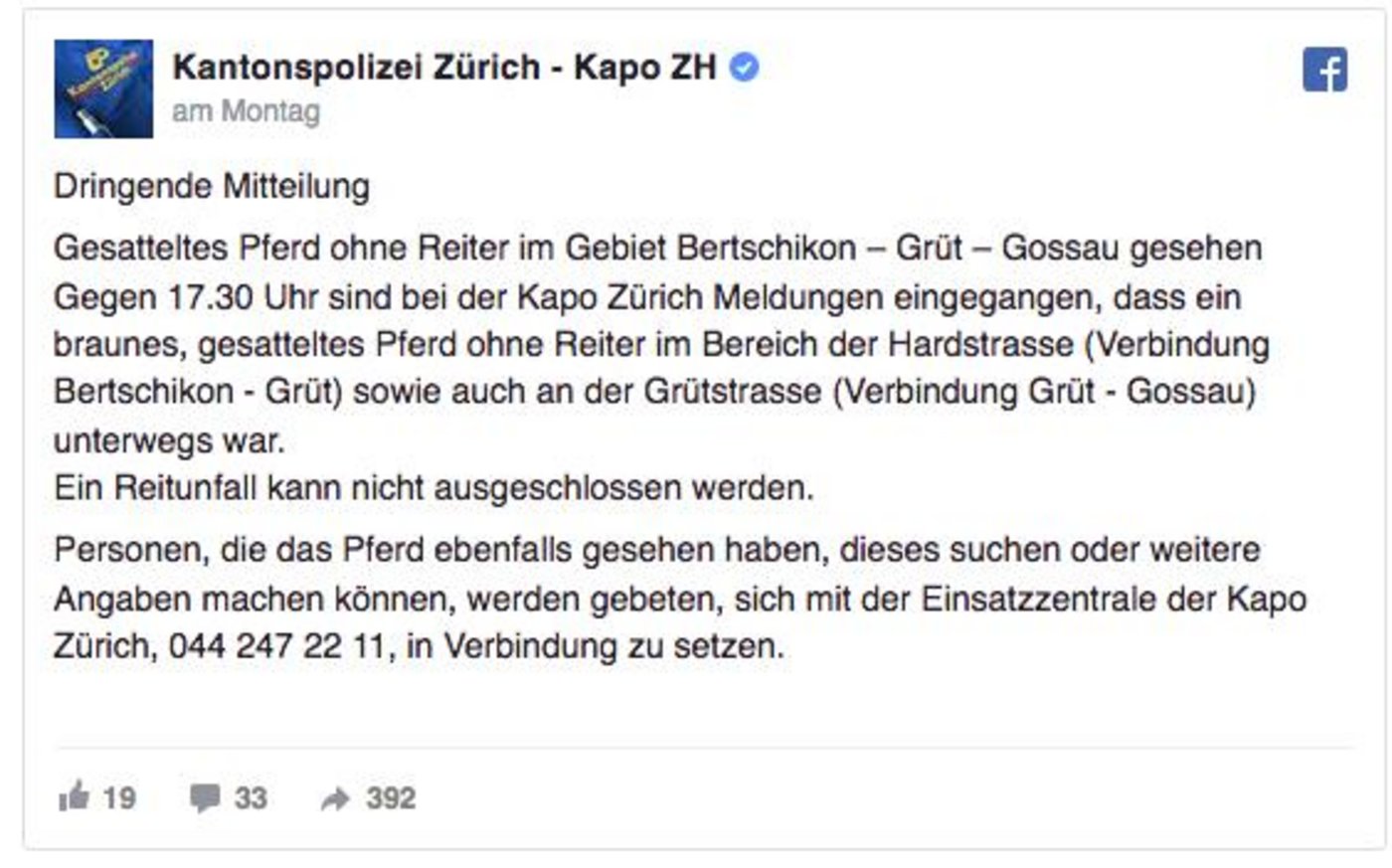 Die Kantonspolizei Zürich suchte über Facebook nach Zeugen. (Bild Screenshot Facebook)