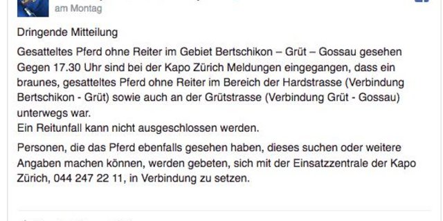 Die Kantonspolizei Zürich suchte über Facebook nach Zeugen. (Bild Screenshot Facebook)