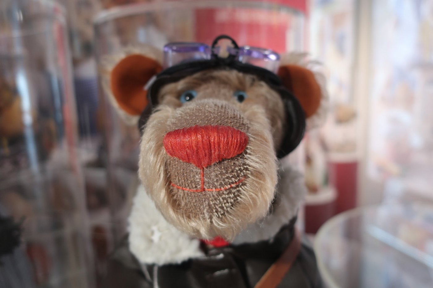 An einer Ausstellung über Bären dürfen Teddybären nicht fehlen. (Bilder Esther Thalmann)