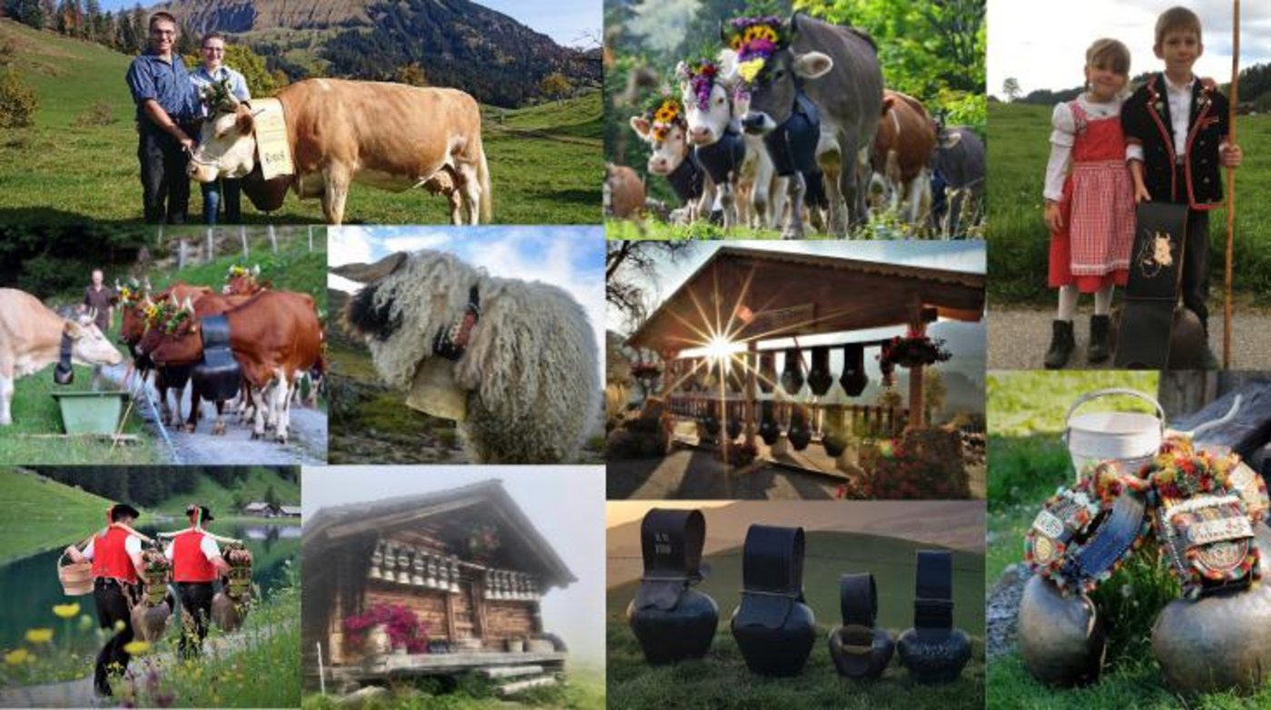 Alle 10 Favoritenbilder aus unserem Wettbewerb.