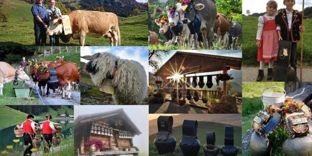 Alle 10 Favoritenbilder aus unserem Wettbewerb.