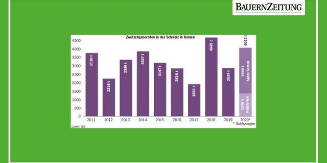 2020 werden laut dem Obstverband 4042 Tonnen Tafelzwetschgen geerntet, was eine aussergewöhnlich grosse Ernte ist.  Dazu kommen noch 2500 Tonnen Brennzwetschgen. (Grafik BauZ)