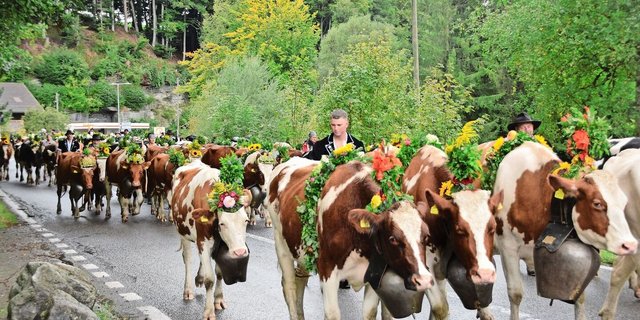 Eine eindrückliche «Züglete»: Um 7 Uhr morgens ging es los, um 14 Uhr war man am Ziel.