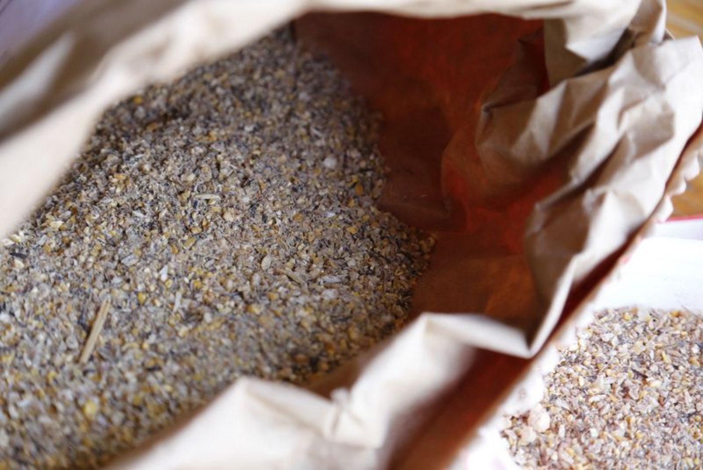 Laut Agrarheute sind in Deutschland auch verarbeitete Proteine aus Nutzinsekten als Schweinefutter neu zugelassen. In der Schweiz dürfen Insekten nur an Wassertiere verfüttert werden. (Bild lid / ji)