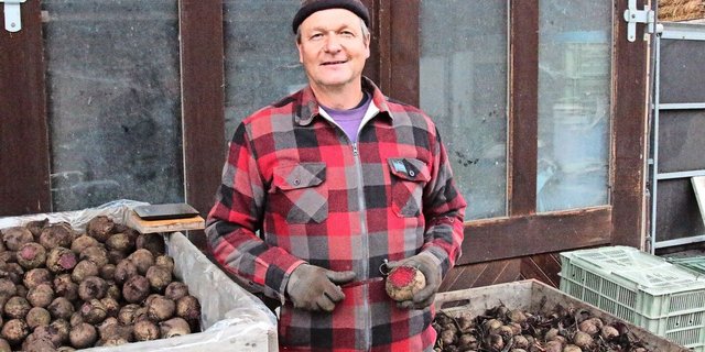 Gerhard Fawer lagert die Randen nach der Ernte kurzzeitig selbst. Bis Ende Januar rüstet er  die Knollen regelmässig. Erst danach liefert er sie an seine Abnehmer.  
