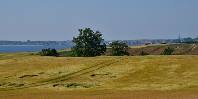 Die Erntemengen der vergangenen 15 Jahre wurde deutlich unterschritten.