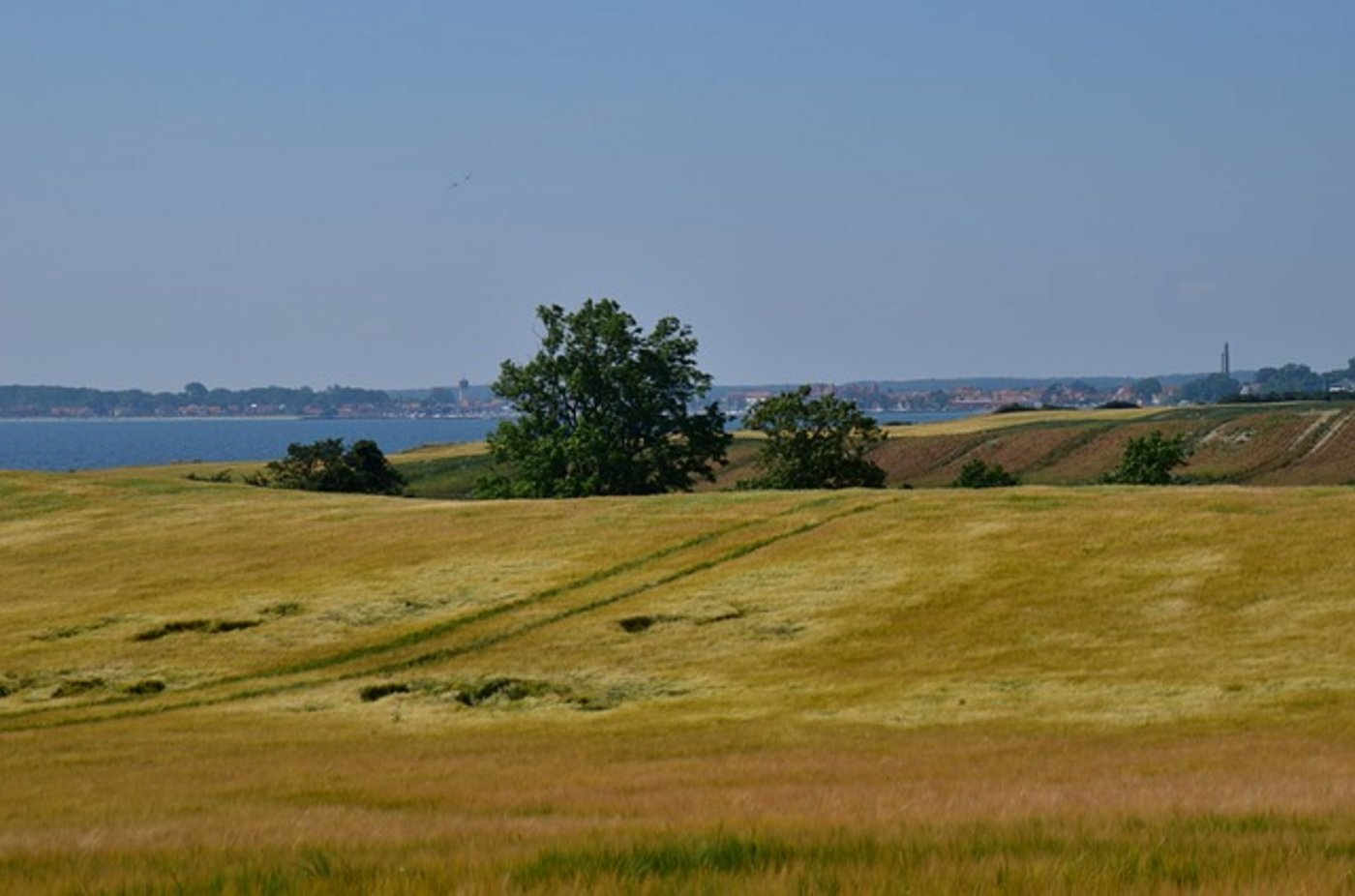 Die Erntemengen der vergangenen 15 Jahre wurde deutlich unterschritten.