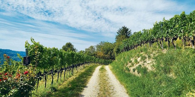 Immer weniger Spielraum für die Landwirtschaft im unteren Tösstal, dafür einiges mehr an Vorgaben. 