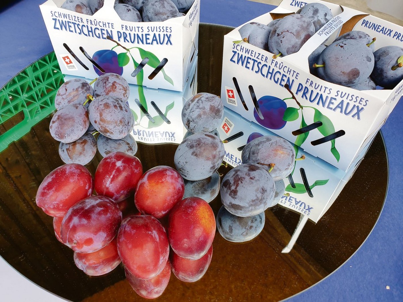 Rund um reife Früchte braucht es eine solide Organisation und Fachwissen. Besonders dann, wenn eine so reiche Zwetschgenernte wie heuer verkauft werden soll. (Bild Ruth Aerni)