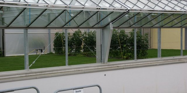 Bald wird entschieden, wie das neue Agroscope-Konzept aussieht. (Symbolbild/lid)