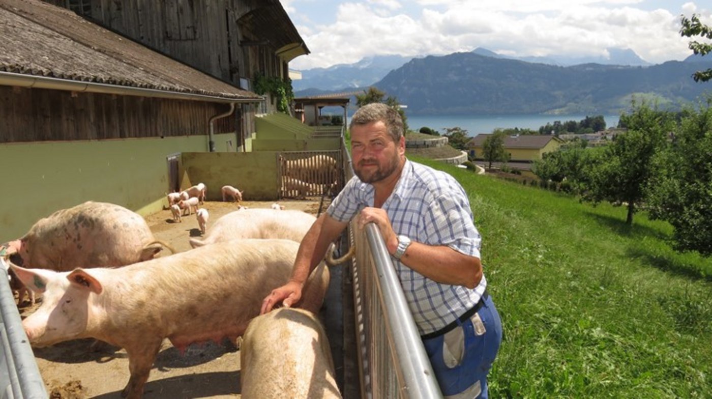 Der Betrieb von Hofer habe den Tierbestand im Jahr 2015 erhöht, heisst es bei der Gemeinde Meggen. (Bild js)