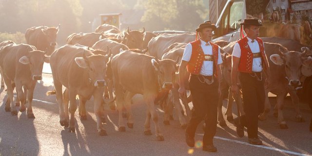 Derzeit wird wenig Tracht getragen. Die folkloristischen Anlässe werden abgesagt. Mit dem Blick nach vorne, Mut und der nötigen Zuversicht können aber Veranstaltungen geplant werden. (Bild iStock)
