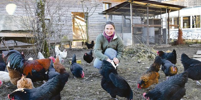 «Ich wohne mit den Hühnern», sagt Eliane Rüscher. Vielleicht sind die Damen so zutraulich, weil sie direkt um und unter Rüschers Häuschen weiden.(Bild noe)