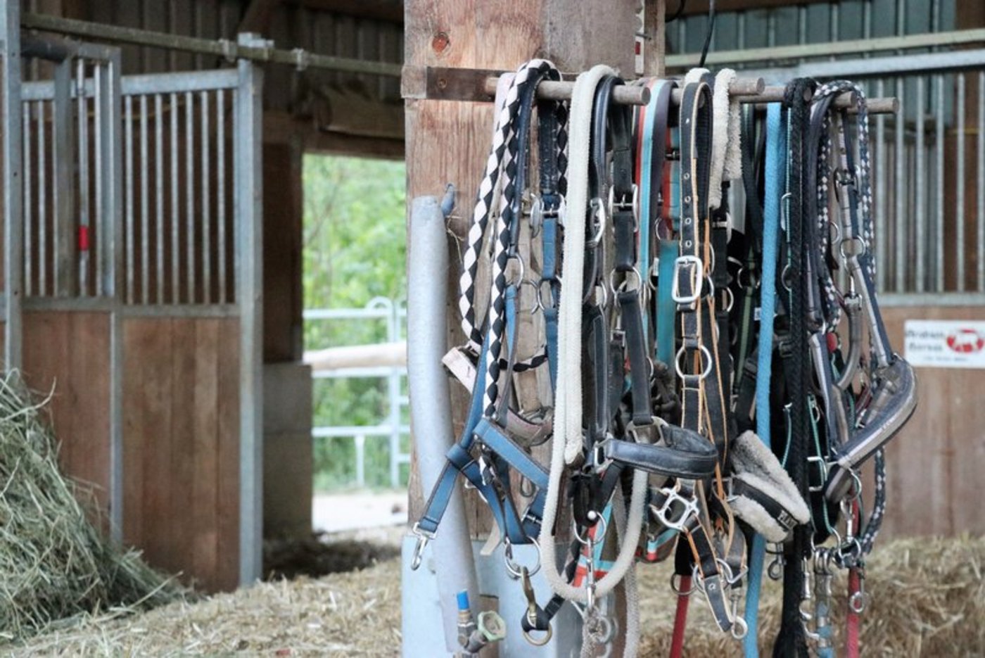 Arbeiten in Teams soll verhindern, dass keine Betreuungspersonen für die Pferde mehr zur Verfügung stehen. (Bild BauZ)