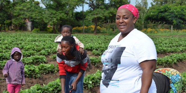 Bupe Chipili Mulapesi (rechts) baut in Sambia im grossen Stil Erdbeeren an. Sie produziert biologisch und stellt vor allem Frauen ein. (Bilder Marianne Stamm) 