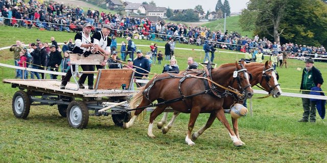 Das Gespann Oberli aus Schangnau erreichte den dritten Platz. 