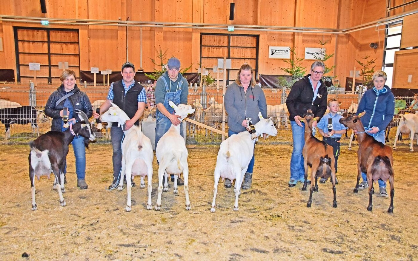 Die Missen und Schöneuter von jeder Rasse (v. l.): Marla, Therese Teuscher; E-Karamel, GG Janzi; Lavinia, Lukas Mani; Stella, Cornelia Heim; Blanchette, Andreas Brügger; Paprika, Sonja und Martin Beer. 