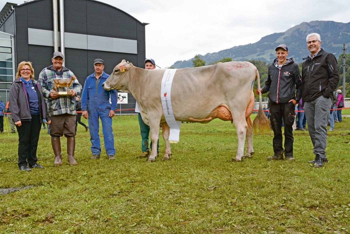 Schöneuter-Miss bei den mittleren Kühen und Tagessiegerin in der Kategorie Brown Swiss wurde Nescardo Kreta von Franz Durrer aus Kerns. (Bild Andrea Gysin)