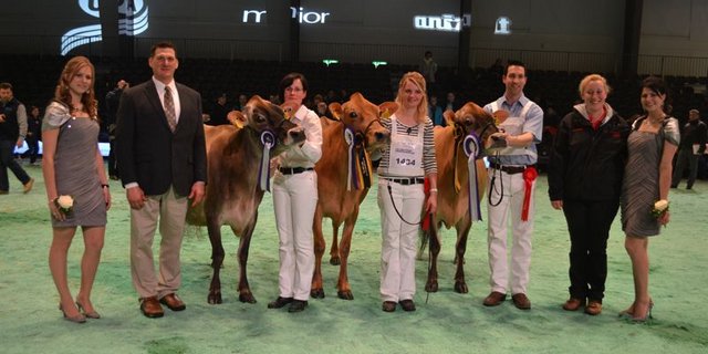 Grande Champion (rechts): Avonlea Signature Kendra, Brühlhof Holsteins, Deutschland / Reserve Grande Champion (Mitte): DJ Izzy Viviane, Corinne Junker, Iffwil / Mention Honorable (links): Fantom Islande, C. und M. Pradervand - Rey, Grens