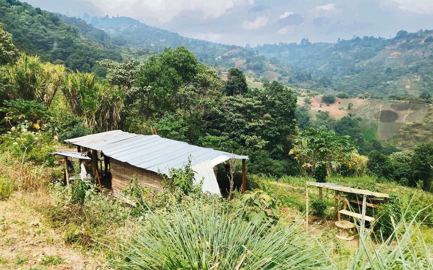 Ruhevolles Kraftschöpfen im «el lote». Hier möchte sich die Kolumbianerin Edith nach und nach ihre Finca aufbauen.
