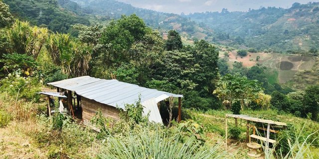 Ruhevolles Kraftschöpfen im «el lote». Hier möchte sich die Kolumbianerin Edith nach und nach ihre Finca aufbauen.