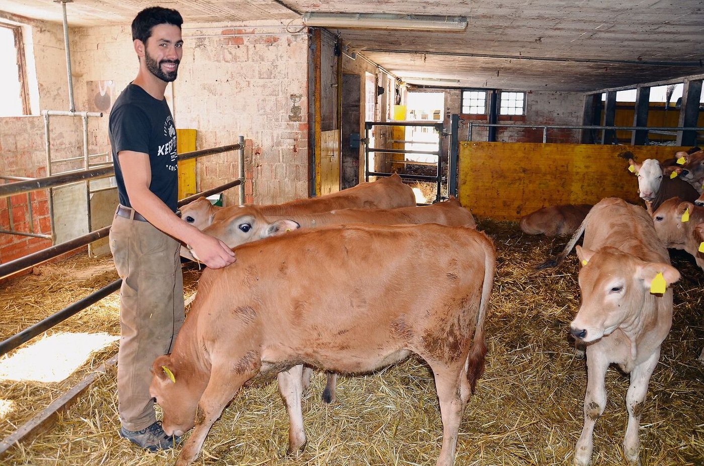 Nicht nur David, sondern die ganze Familie hat Freude an den Kälbern. Grossen Wert legt der Betriebsleiter auf das Tierwohl. 