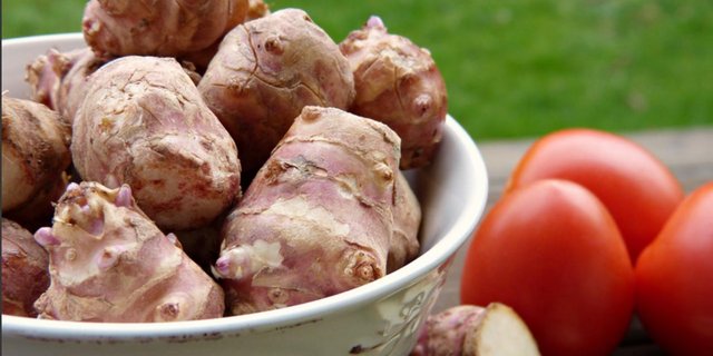 Beim Gemüse Topinambur sind die Wurzelknollen essbar..