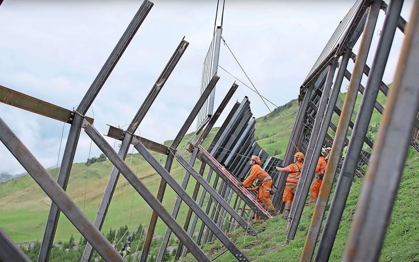 Die Beweidung ist vertraglich zugesichert, wird aber durch den «Stangenwald» eingeschränkt sein,