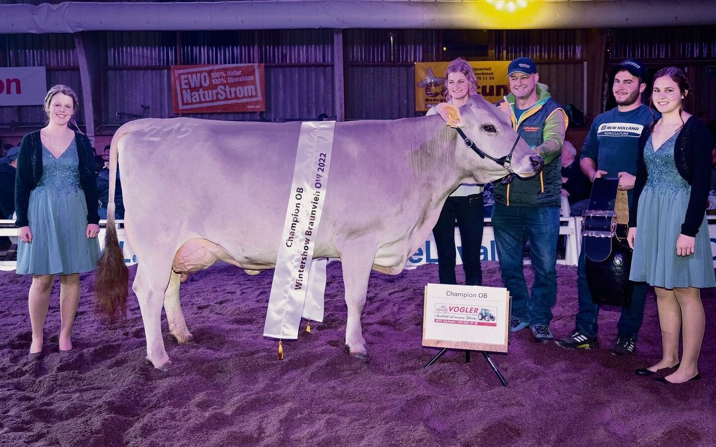 Timea von Thomas Schrackmann, Sarnen, führte ihre Siegesserie auch an der Wintershow weiter. 