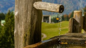 Trotz heisser Temperaturen: Brunnen sind schlechte Freibäder für Hunde Brunnen sind zum Tränken da, nicht zum Baden. Menschen, Haus- und Nutztiere müssen das kühle Nass teilen. (Bild Pixabay)
